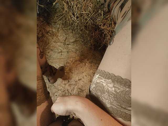 Apraides ekrānuzņēmumi -kvitka-