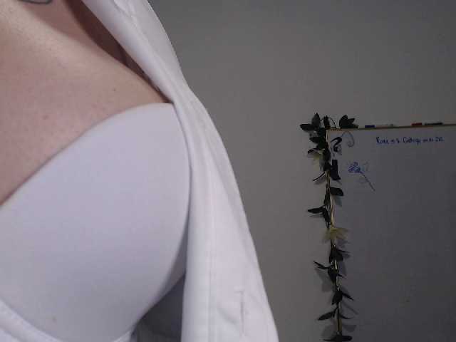 Apraides ekrānuzņēmumi AdaIson