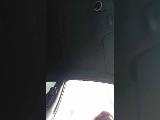 Apraides ekrānuzņēmumi AlisaFist