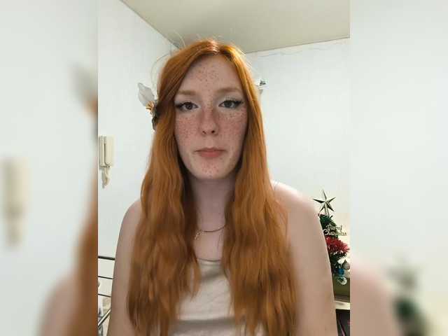 Apraides ekrānuzņēmumi AmaryllisFox