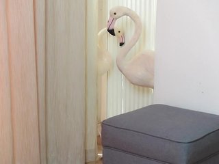 Erotiska video tērzēšana AmeliaJune