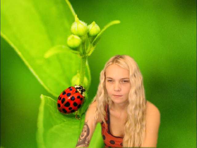Fotogrāfijas AnnaHappy18 ...the story of the lonely ladybug.
