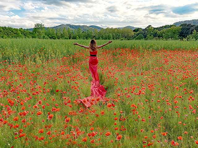 Profila foto bella-cullenn