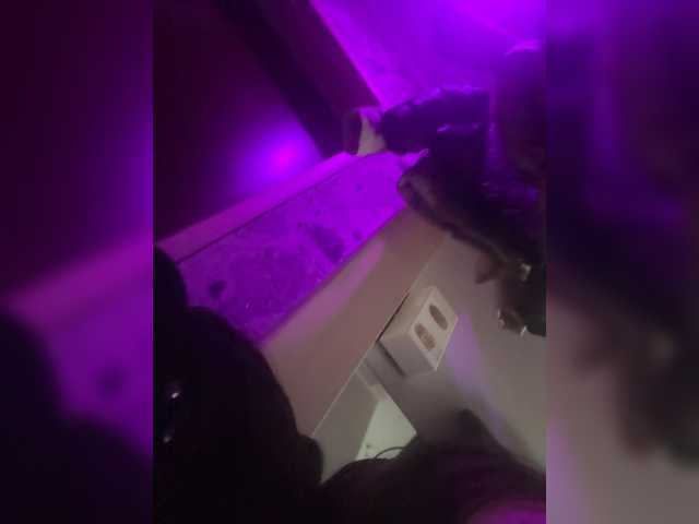 Apraides ekrānuzņēmumi BellaGlory