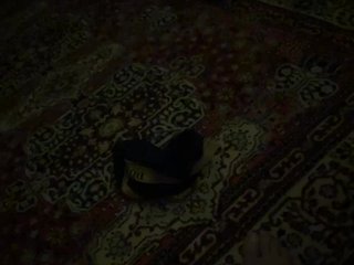 Erotiska video tērzēšana Chemezoff