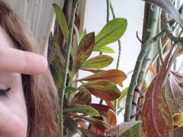 Profila foto Crazycouple8