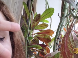 Erotiska video tērzēšana Crazycouple8