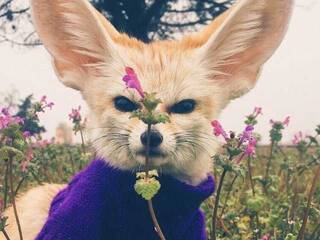 Erotiska video tērzēšana Anecka31