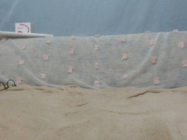 Apraides ekrānuzņēmumi DonnaWildJoyy