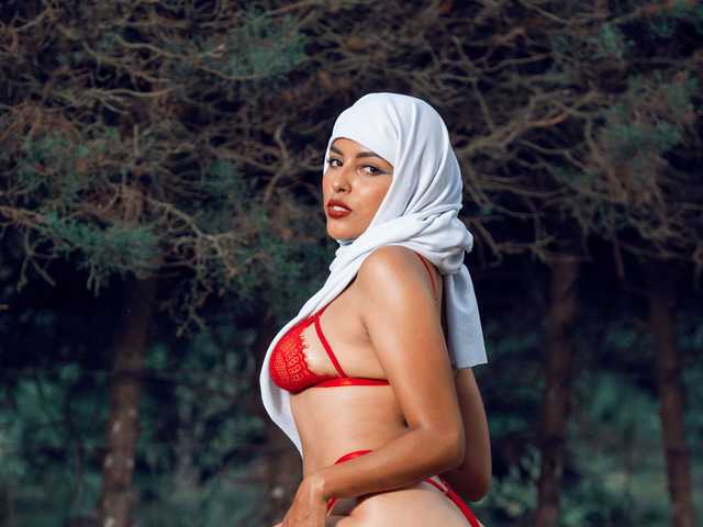 Profila foto falakhab-