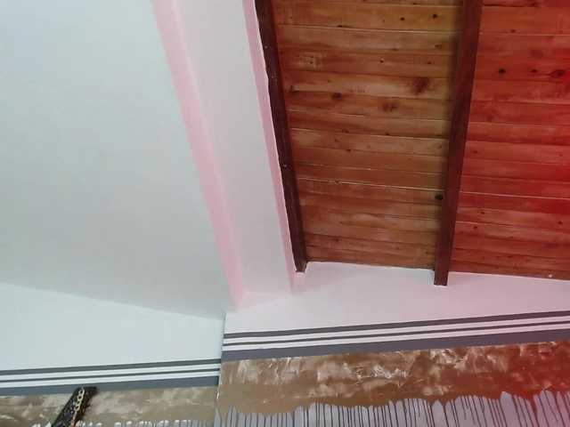 Apraides ekrānuzņēmumi flexylive