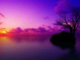 Erotiska video tērzēšana florabella