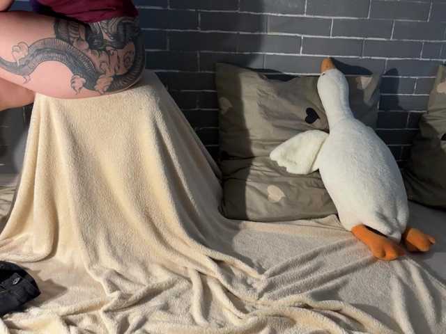 Apraides ekrānuzņēmumi Fox-Paws