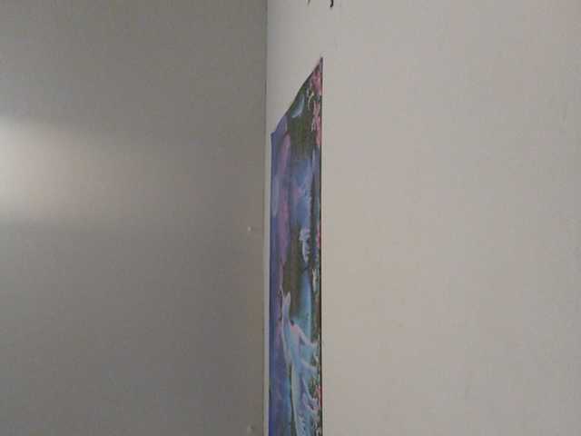 Apraides ekrānuzņēmumi GlazinD