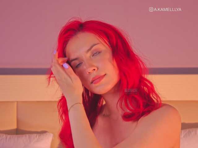 Apraides ekrānuzņēmumi Kamelllya