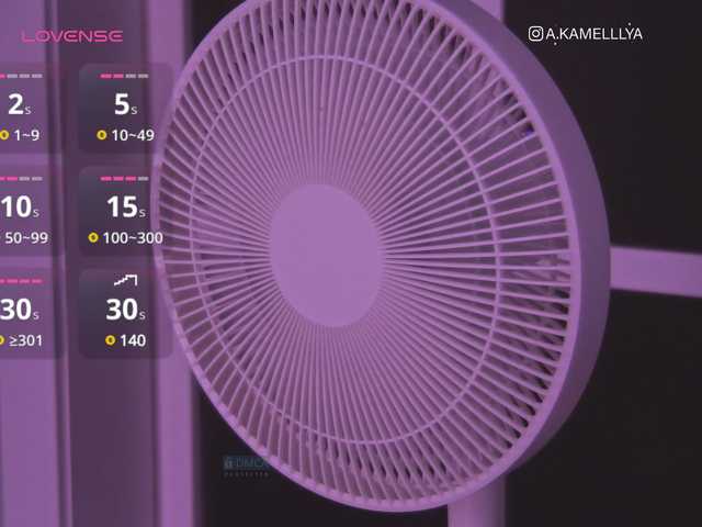 Apraides ekrānuzņēmumi Kamelllya