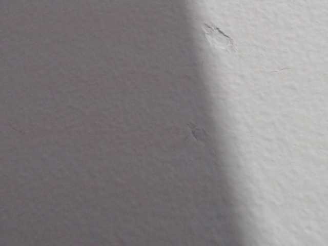 Apraides ekrānuzņēmumi Katithompson