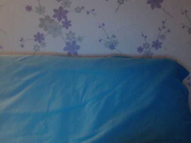 Apraides ekrānuzņēmumi littledevi