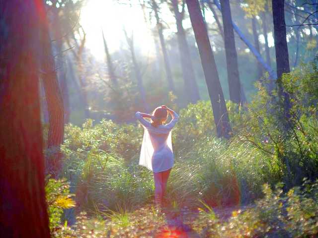 Profila foto Fiery_Phoenix