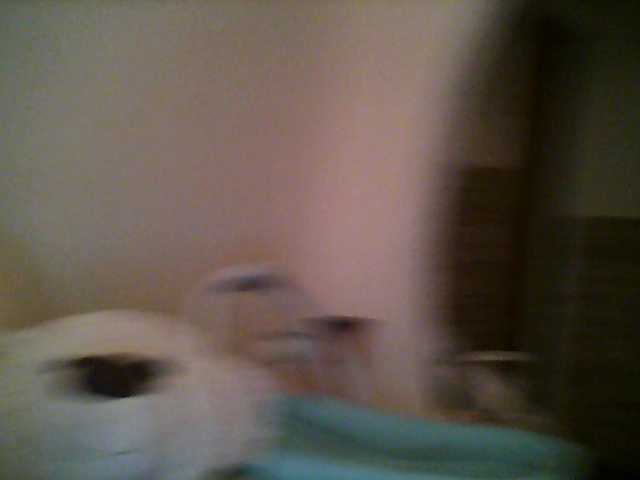 Apraides ekrānuzņēmumi LizavetaMaxi