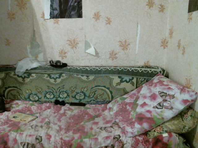 Apraides ekrānuzņēmumi kar0linaa666