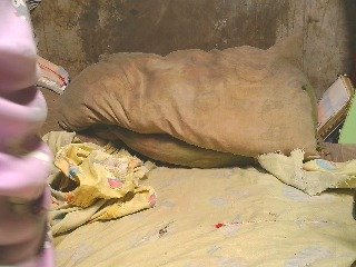 Erotiska video tērzēšana NaughtyWetPieXx