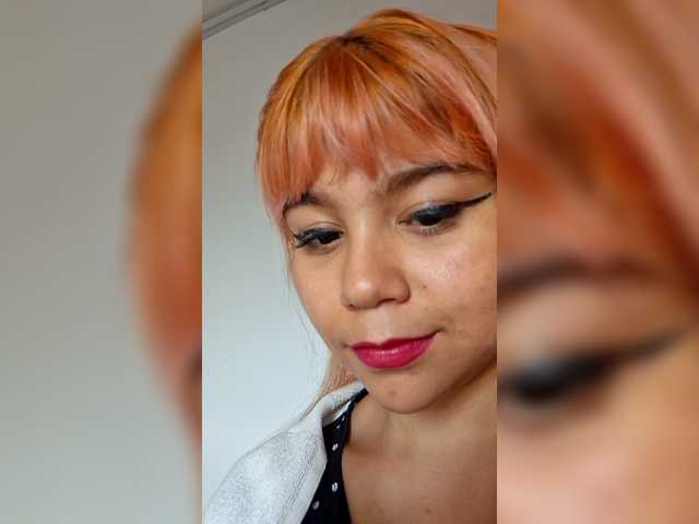 Apraides ekrānuzņēmumi RyderParker