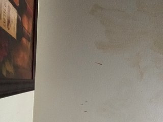 Erotiska video tērzēšana Sexylexie18