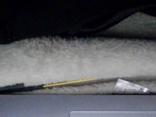 Erotiska video tērzēšana sexysapphiresweet