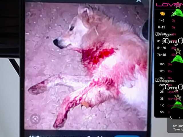 Apraides ekrānuzņēmumi sofiaclaus