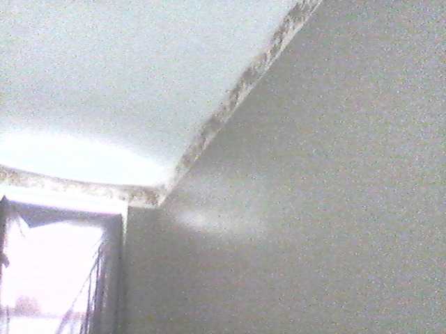 Apraides ekrānuzņēmumi supa19kitty