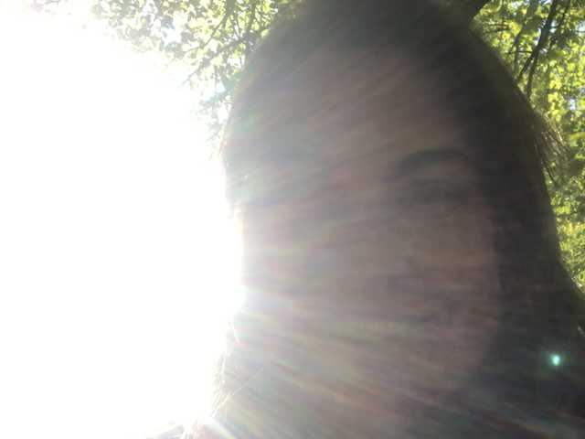 Profila foto taylorlee