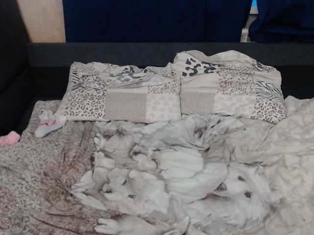 Apraides ekrānuzņēmumi VikiMax69