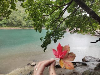 Erotiska video tērzēšana _GoodGirl_