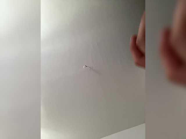 Apraides ekrānuzņēmumi Vmeste
