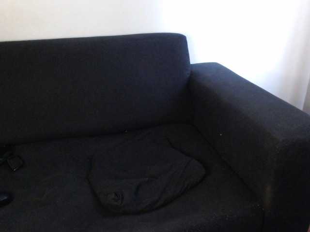 Apraides ekrānuzņēmumi WildPetal963